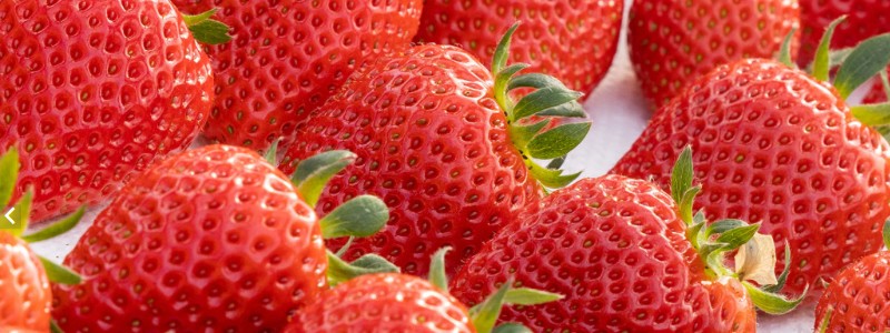 �󏭕i��̂������u��ڂ��v�̔��́y�ېi�t�@�[���z���T�C�g